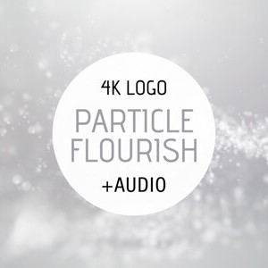 Particle Flourish After Effects intro logo reveal template