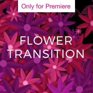 Flower Transition Motion Graphics Template for Premiere Pro