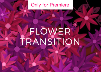 Flower Transition – Motion Graphics Template