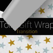 Torn Gift Wrap Paper Transition – Free Motion Graphics Template