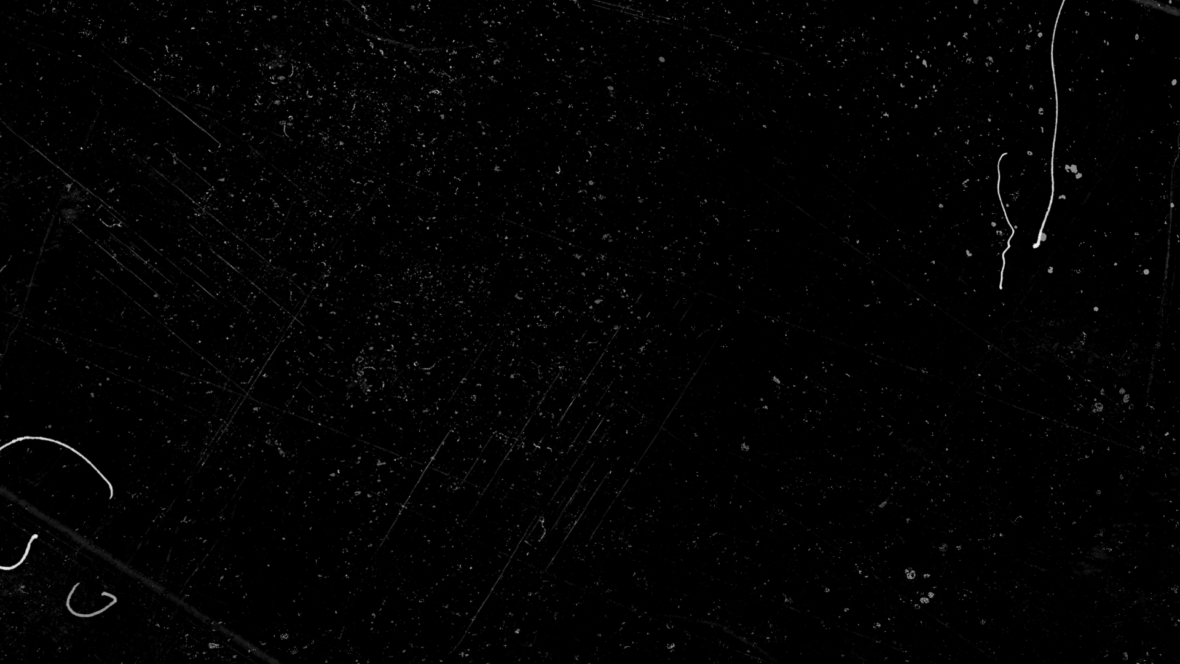 Film Dust And Scratches Premiere Pro Free Free Dust and Scratches Overlay Video | Enchanted Media