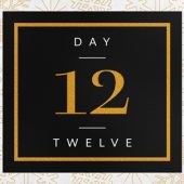 Elegant Festive Foil Calendar Number Reveal – Motion Graphics Template