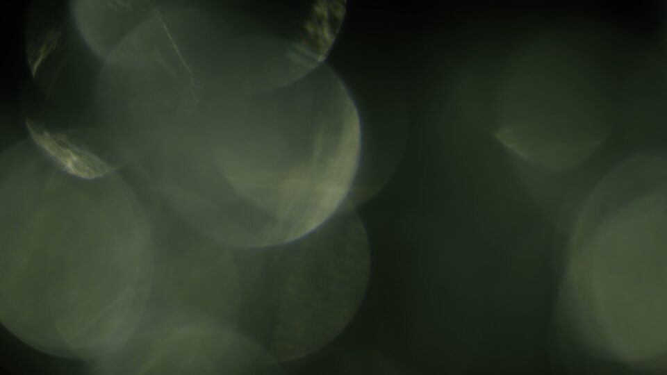 Free bokeh video from Adobe Stock
